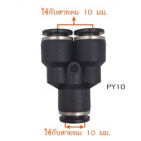 PY10. วัดไซต์